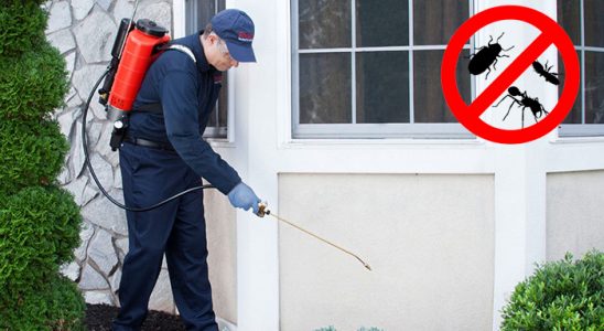 Babadağ Bit İlaçlama böcek ilaçlama ve haşere kontrolü — ilaclama-tr.com